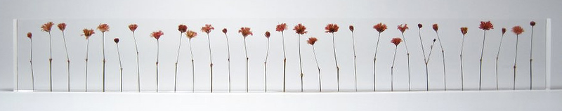 Illustration for article titled Every Centimeter Mark on This Ruler Is Actually a Tiny Embedded Flower